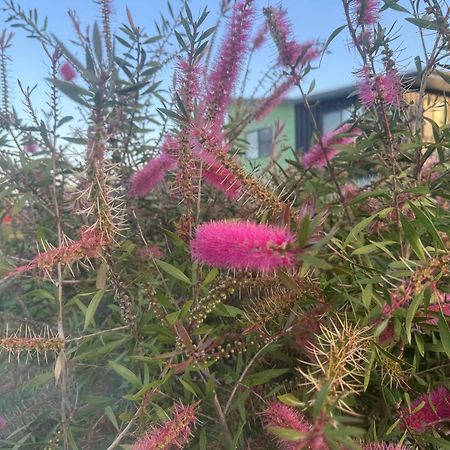 Bird Song Farm Hotel Hat Head Bagian luar foto