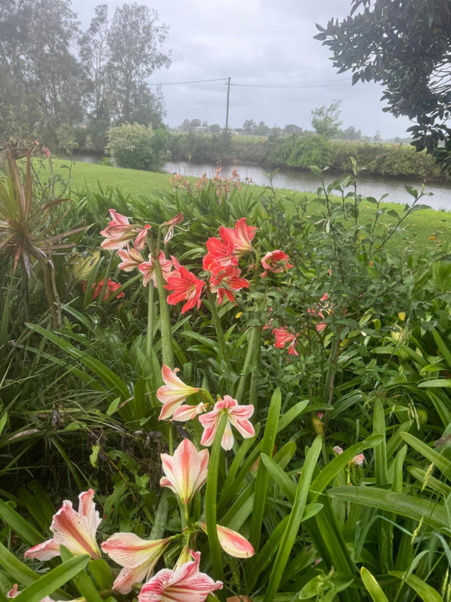 Bird Song Farm Hotel Hat Head Bagian luar foto