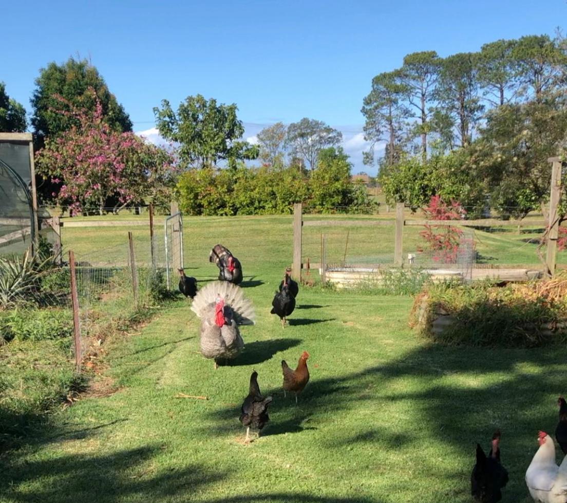 Bird Song Farm Hotel Hat Head Bagian luar foto